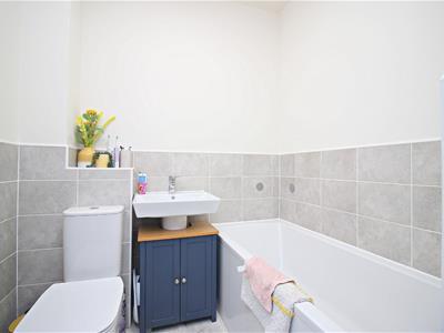 Picture 15